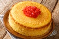 Iranian Tahchin Rice Cake With chicken closeup in the plate. Horizontal