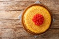 Iranian Tahchin Rice Cake With chicken closeup in the plate. Horizontal top view