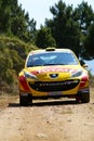 IRC 2010 - Neuville Thierry Royalty Free Stock Photo