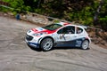 IRC Yalta Prime Rally 2011 Royalty Free Stock Photo