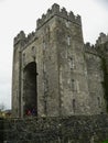 Ireland. Bunratty Castle Royalty Free Stock Photo