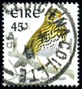 IRELAND - CIRCA 1998: stamp 45 Irish penny pence printed by Republic of Ireland, shows bird Song Thrush Turdus philomelos,