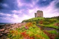 Ireland Coast And Castle Ruins