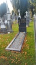 Ireland famous death grave yard million people