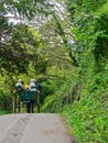 Ireland. Killarney National Park