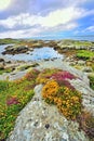 Ireland landscape Royalty Free Stock Photo