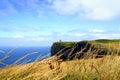 Ireland's Castle