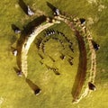 Ireland's Stonehenge Aerial Viewpoint