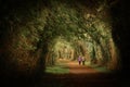 Ireland sunset green landscape tree forest rural area hill field meadowpeople walking