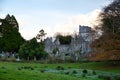 Muckross Abbey, Ireland, UK Royalty Free Stock Photo