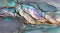Iridescent Abalone Shell Close-Up Royalty Free Stock Photo