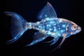 Iridescent Beauty: Transparent Fish Gleaming with Blue Luminescence, a Mesmerizing Underwater Spectacle in Lustrous Hues