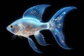 Iridescent Beauty: Transparent Fish Gleaming with Blue Luminescence, a Mesmerizing Underwater Spectacle in Lustrous Hues