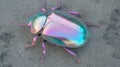 Iridescent beetle shell texture on concrete wall for creative design Royalty Free Stock Photo