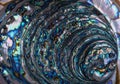 Iridescent blue abalone shell texture with a vibrant shimmering pattern for a luxury background Royalty Free Stock Photo