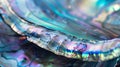 Iridescent Close-Up of Smooth Polished Abalone Shell for Ocean-Themed Design Poster