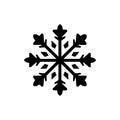 Iridescent ice-bloom snowfla icon