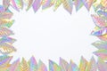 Iridescent leaf border frame with copy space Royalty Free Stock Photo