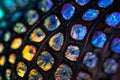 Iridescent Mosaic