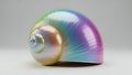 Iridescent pearlescent spiral shell macro Royalty Free Stock Photo
