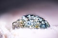 Iridescent Pyrite Cluster on Quartz