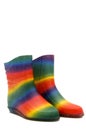 Iridescent rubber boots isolated