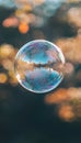 Iridescent Soap Bubble Floating in Sunlit Outdoor Setting