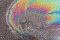 iridescent spot of gasoline on pavement Royalty Free Stock Photo