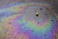 Iridescent spot of gasoline. Petrol on the asphalt a big polluted puddle water. A rainbow slick of gasoline