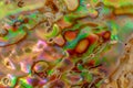 Iridescent surface texture of abalone shell Royalty Free Stock Photo