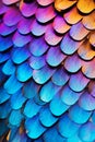 Iridescent Wing Patterns: Butterfly Close-Up