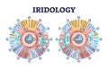 Iridology as eye iris monitoring and disease diagnostics outline diagram