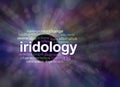 Iridology concept banner