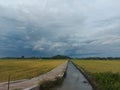 irigation ricefield sukoharjo jawa tengah Royalty Free Stock Photo