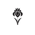 Iris black vector concept icon. Iris flat illustration, sign Royalty Free Stock Photo