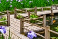 Iris Blooming at the Koi Pond at the Portland Japanese Garden Royalty Free Stock Photo