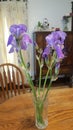 iris blooms and bud in crystal vase with domestic scene background