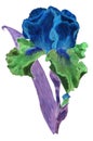 Iris blue and green, fantastik color with violet leaves, watercolor