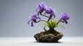 Iris Bonsai Tree: Japanese Inspired Zen Minimalism With Soft-focus Technique Royalty Free Stock Photo