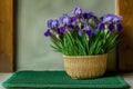 iris bouquet in a basket resting on a green door mat