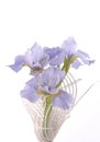 Iris bouquet