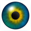 Iris of the eye. Human iris. Eye illustration. Blue eye. Creative digital design Royalty Free Stock Photo