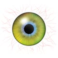 Iris of the eye. Human iris. Eye illustration. Yellow eye. Creative digital deIris eyes. Human iris with blood veins.sign Royalty Free Stock Photo