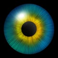 Iris of the eye. Human iris. Eye illustration. Blue eye. Creative digital design Royalty Free Stock Photo