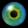 Iris of the eye. Human iris. Illustration of an eye. Multicolored eye on a white background Royalty Free Stock Photo