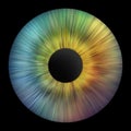 Iris of the eye. Iris of the human. Eye illustration. Creative graphic design Royalty Free Stock Photo
