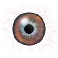 Iris eyes. Human iris with blood veins. Eye illustration. Brown eye. Creative digital design Royalty Free Stock Photo