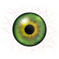 Iris eyes. Human iris with blood veins. Eye illustration. Green eye. Creative digital design Royalty Free Stock Photo