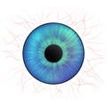 Iris eyes. Human iris with blood veins. Illustration of an eye. Creative graphic design Royalty Free Stock Photo