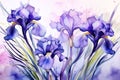 Nature plant art background summer floral purple background watercolor blossom spring flowers iris Royalty Free Stock Photo